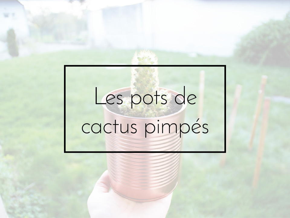 DIY : les pots de cactus pimpés